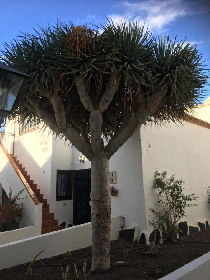 Tenerife Costa Del Silencio Ngoại thất bức ảnh